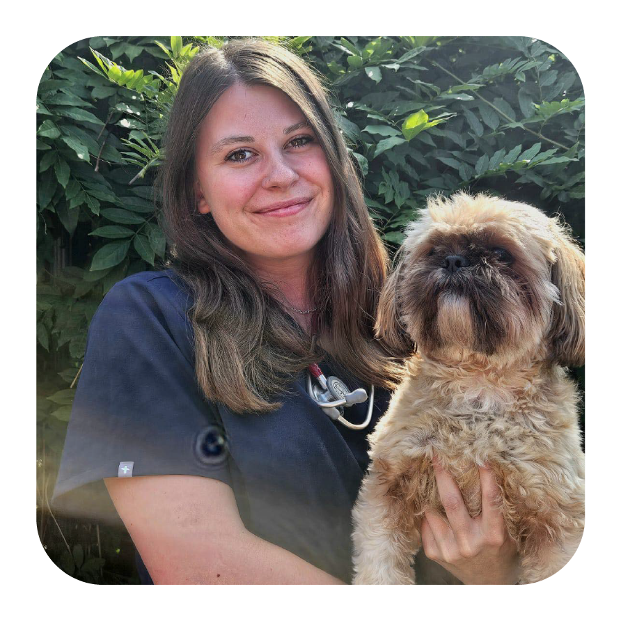 Laura Florkin vétérinaire