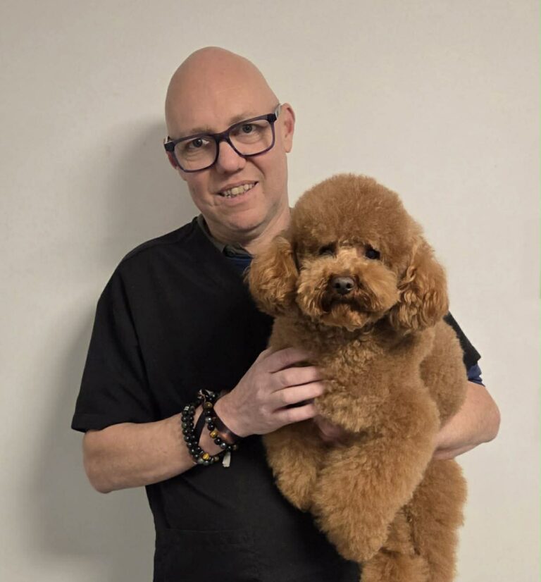 alain-aussem-toiletteur-animal-style